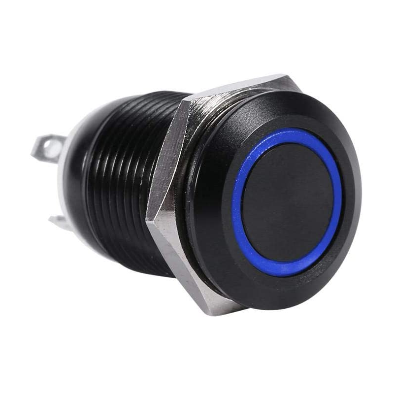 Interruptor Pulsador Momentáneo 12V 2A 12mm LED Blanco para Coche